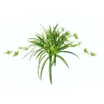 И.ГЕ.А. Искусственное растение «Кувшинка» I.Ge.A., зеленый - фото