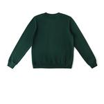 Lee Толстовка мужская algae green - фото 3