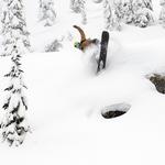 Сноуборд Lib Technologies Golden Orca Lib Technologies, One Color - фото 6