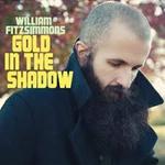 Диск CD Gold In The Shadow - William Fitzsimmons - фото