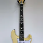 PRS SE Silver Sky - 2022 - настоящее время - Moon White - Серый чехол PRS - фото 11