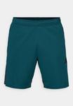 Спортивные шорты Adidas Performance TIRO25 ESSENTIALS SHORT MEN, Aurora Ivy/Black/Black - фото 5
