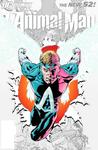 Animal Man #0 (DC Comics) - фото
