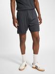 Шорты Hmlpulse Multisport Adults HUMMEL - фото