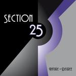 CD диск Section 25: Nature and Degree - фото
