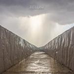 Диск CD Before The Day Has Gone - Bellini - фото