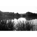 Фильтр B+W 830/093 IR Black Red Filter (39mm) 66-1102772 - фото 5