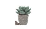 Плюшевая игрушка Silly Succulent Azulita JELLYCAT - фото 5