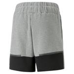 Мужские шорты Puma teamCUP Casuals Shorts 657989 - фото 2
