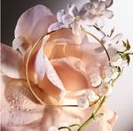 Парфюмерная вода Lancôme Absolue Les Parfums 6 AM Rose - фото 4