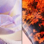 Парфюмерная вода Guerlain L’instant de Guerlain - фото 3