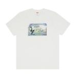 Футболка Supreme Dylan Tee 'White', белый - фото