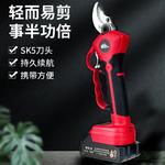 Перезаряжаемые литий-ионные электрические секаторы KAZZ, модель Supreme, 2 аккумулятора, 1 зарядка + лезвие + ветка высотой 2 м. - фото 2