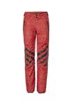 Лыжные брюки с современным рисунком CHIEMSEE, цвет Red Dark Red - фото