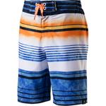 Бермуды Delbert Firefly, мультиколор - фото