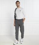 Спортивные брюки мужские Ea7 с лампасами, серый - фото 2