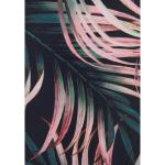 Плавки бикини женские LASCANA, черный - фото 4