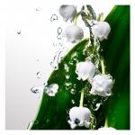 Туалетная вода Davidoff Cool Water Woman, 100 мл - фото 7