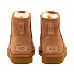 Угги UGG Classic Mini II, ореховый - фото 3