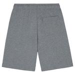 Шорты Dickies Mapleton, серый - фото 4