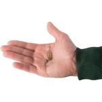 Spinner Weta + #3 золотые/красные точки Predator удочки CAPERLAN, золотой/красный - фото 4