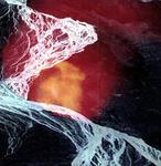 Виниловая пластинка Wires Under Tension: Light Science - фото