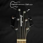 Акустическая гитара Breedlove Discovery S Concert - фото 4