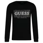 Толстовка обычного кроя Guess, черный - фото