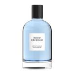 Парфюмированная вода для мужчин, 100 мл David Beckham, Collection Infinite Aqua - фото