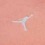 Толстовка с капюшоном Brooklyn для девочки Jordan, оранжевый - фото 3