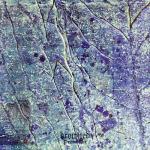 Виниловая пластинка Drowned: Procul His - фото