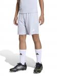 Adidas Performance Шорты для тренировок Regular 'ENT26' в светло-сером цвете - фото 2