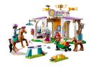 Конструктор для обучения лошадей 41746 LEGO - фото 4