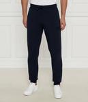 Спортивные брюки мужские Ea7 классические на кулиске, синий - фото