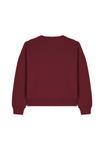 Толстовка watapparel SUPPORT LOCAL, Burgundy/Dark Red - фото 3