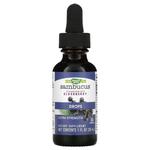 Nature's Way, Бузина, капли, 30 мл (1 жидк. Унция) - фото 4