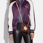 Демпси Хэндбэгз КОУЧ - фото 6