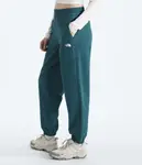 Женские брюки Tekware The North Face, Space - фото 4