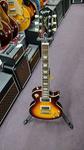 Epiphone Slash Signature Les Paul Standard - фото 3