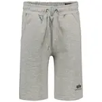 Шорты Alpha Industries Basic SL, серый - фото