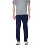 Брюки мужские Runbold Mammut, синий - фото 2