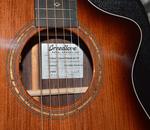 2022 Breedlove - Premier Concert CE - Edgeburst - фото 2