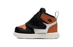 Jordan Sky 1 Shattered Backboard TD - фото 3
