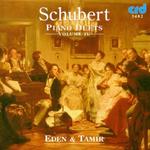 CD диск Schubert / Eden / Tamir: Variations on An Original Theme in a D813 - фото