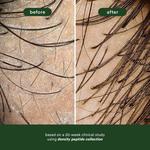 Шампунь с пептидами высокой плотности Verb - фото 7