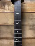 PRS Silver Sky Rosewood Midnight Rose с чехлом - фото 6