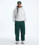 Толстовка TNF Red Box The North Face, TNF Classic Grey Heather - фото 3