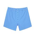 Шорты пляжные мужские голубые SURFCUZ - фото 4