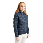 Куртка Abacus Golf Reay Thermo Soft Shell, синий - фото