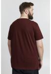 Футболка с принтом SDMINGO BT Solid, цвет wine red - фото 3